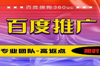 百度竞价与搜索引擎优化（SEO）的协同效应案例